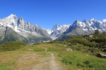 Fototapeta na wymiar Mont-Blanc massif and small path