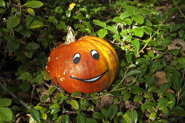 Gartendekoration für Halloween