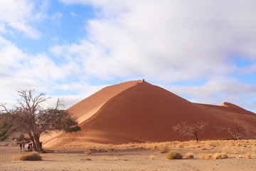 Fototapeta na wymiar Dune du désert du Namib