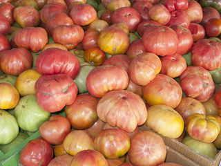 Bushel Basket of Heirloom Tomatoes