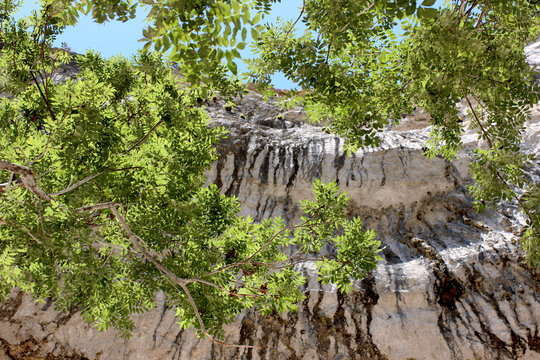 paroi calcaire du vercors