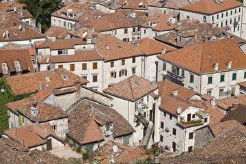 Fototapeta na wymiar Houses in Kotor.