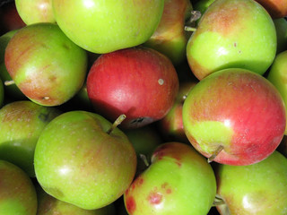 apple