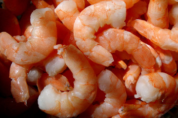 shrimp