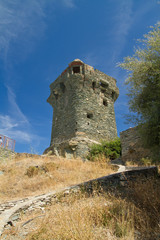 tour genoise du cap corse (nonza)