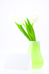 white tulips in a vase and card isolated on white
