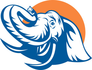 african bull elephant head