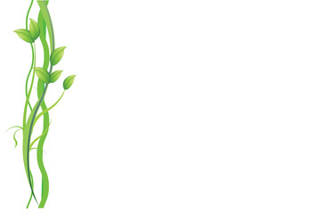 plant on white background