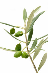 olives