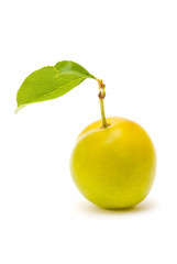 fresh plum on white background