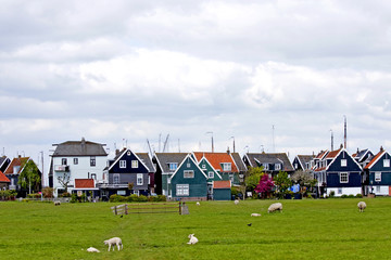 Fototapeta na wymiar typical Dutch houses