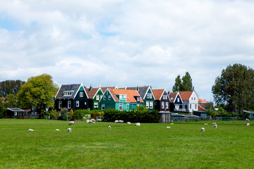 Fototapeta na wymiar Typical Dutch houses in Marken