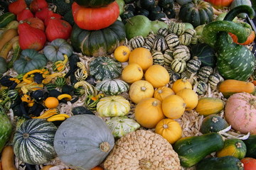Etal de courges