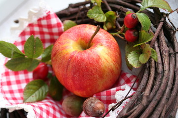 Herbstfrüchte