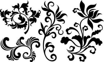 flower illustration