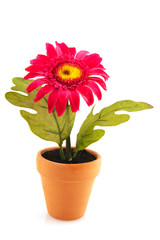 Naklejka na ściany i meble Artificial flower plant