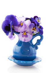 Velvet curtains Pansies Blue vase with pansies