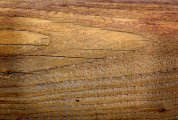 wooden background nature