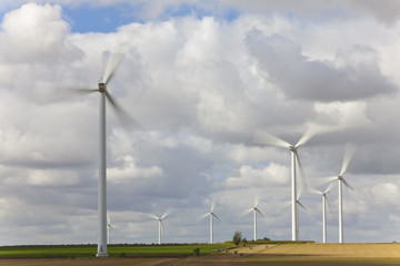 Windfarm of Green Energy Wind Turbines