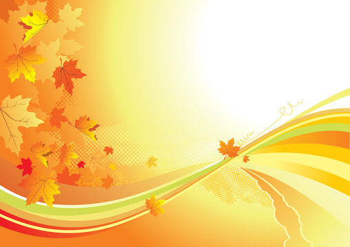 Autumn Background /  gold leaves whith copy space for yout text