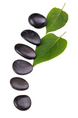 Fototapeta premium black stones and green leaves