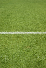 Obraz premium soccer field's line