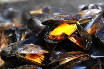 moules à la plancha