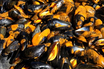 moules à la plancha