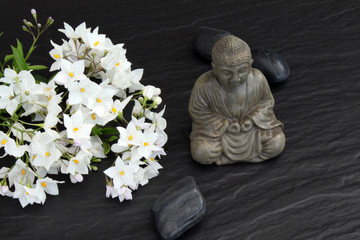 Buddha mit Jasminblüten