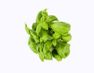 basil on white