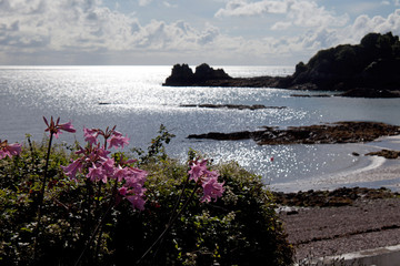 St Catherines Bay and Archirondel Tower