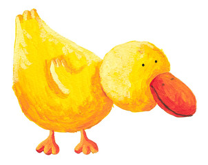 Duck looking at the right