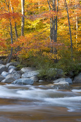 River and fall foliage, New Hampshire (vertical)