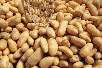 neue kartoffeln, marktverkauf