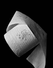white toilet paper on black background