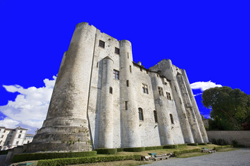 france; 79; niort : donjoins jumeaux