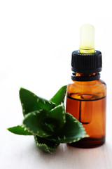 aloe vera esential oil