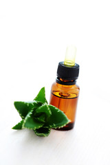 aloe vera esential oil