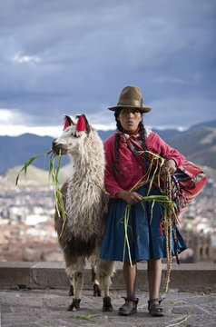 Peruvian Woman Llama (Lama Glama), Cuzco, Peru