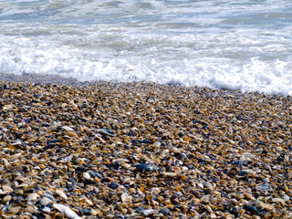 Wave on cockleshells