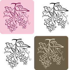 grape pattern