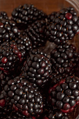 Frutti di bosco