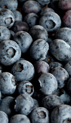 Frutti di bosco