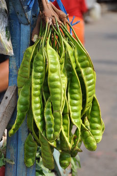 Petai or Stink bean, Jakarta, Java, Indonesia
