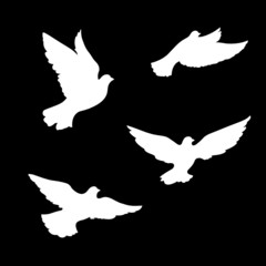 Four pigeons silhouettes