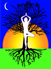 yoga tree pose vector
