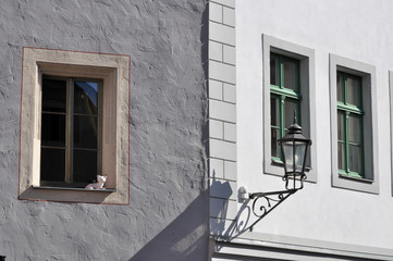 meissen, finestre con finto gatto nel centro storico