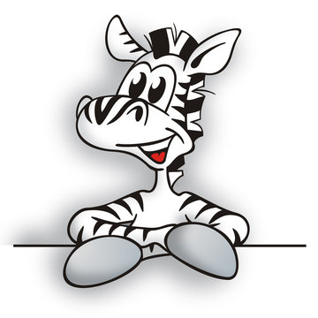 Cheeky little Zebra presenting