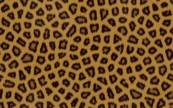 Seamless Background Cheetah Skin