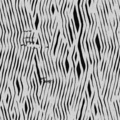 Fototapeta na wymiar Seamless zebra fur pattern- can be used as a background